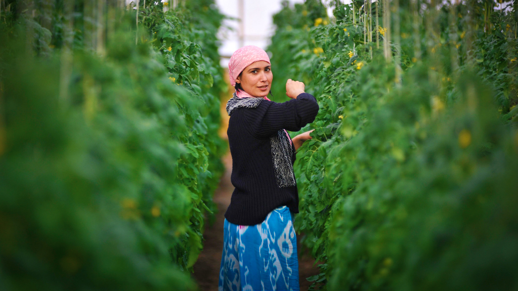 Central Asia is home to a treasure trove of marketable fruits and vegetables but food safety must be addressed before they can be marketed globally. Photo: ADB
